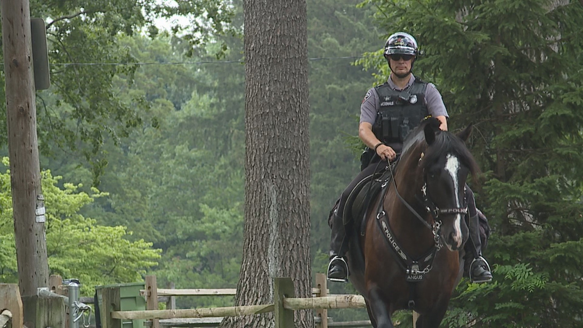 Lancaster City Police Mounted and K-9 Unit welcome its newest patrol horse on the streets.
