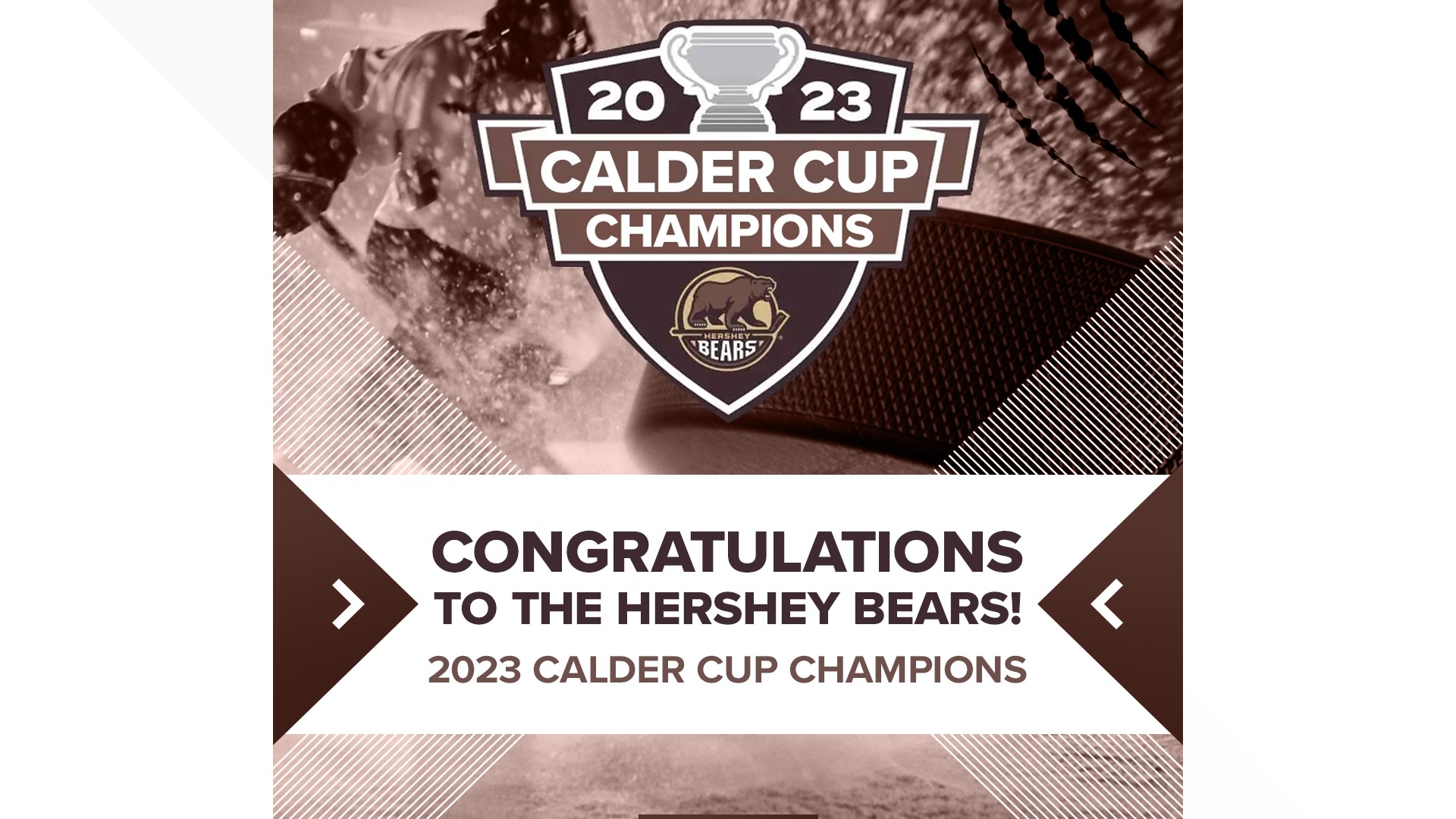 YOUR CHICAGO WOLVES ARE CALDER CUP CHAMPIONS.