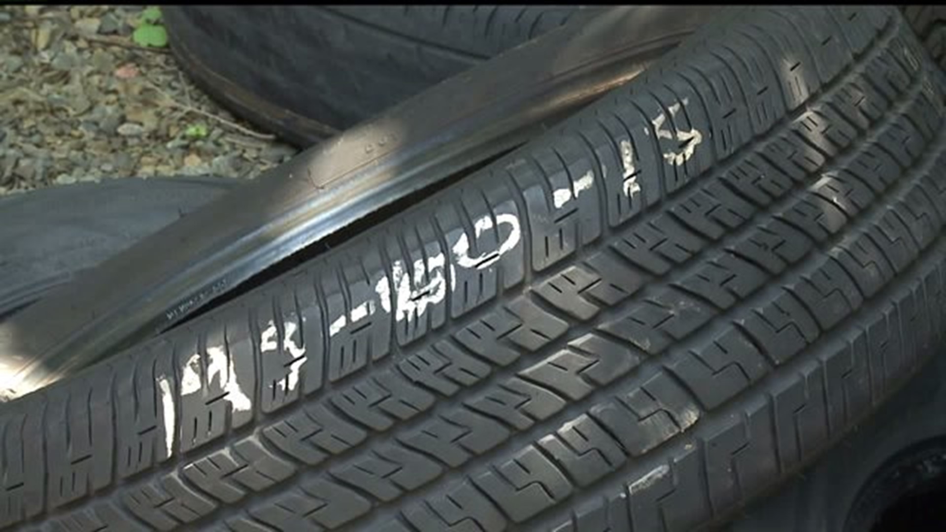 Perry County Animal Rescue director outraged after illegal dumping of tires
