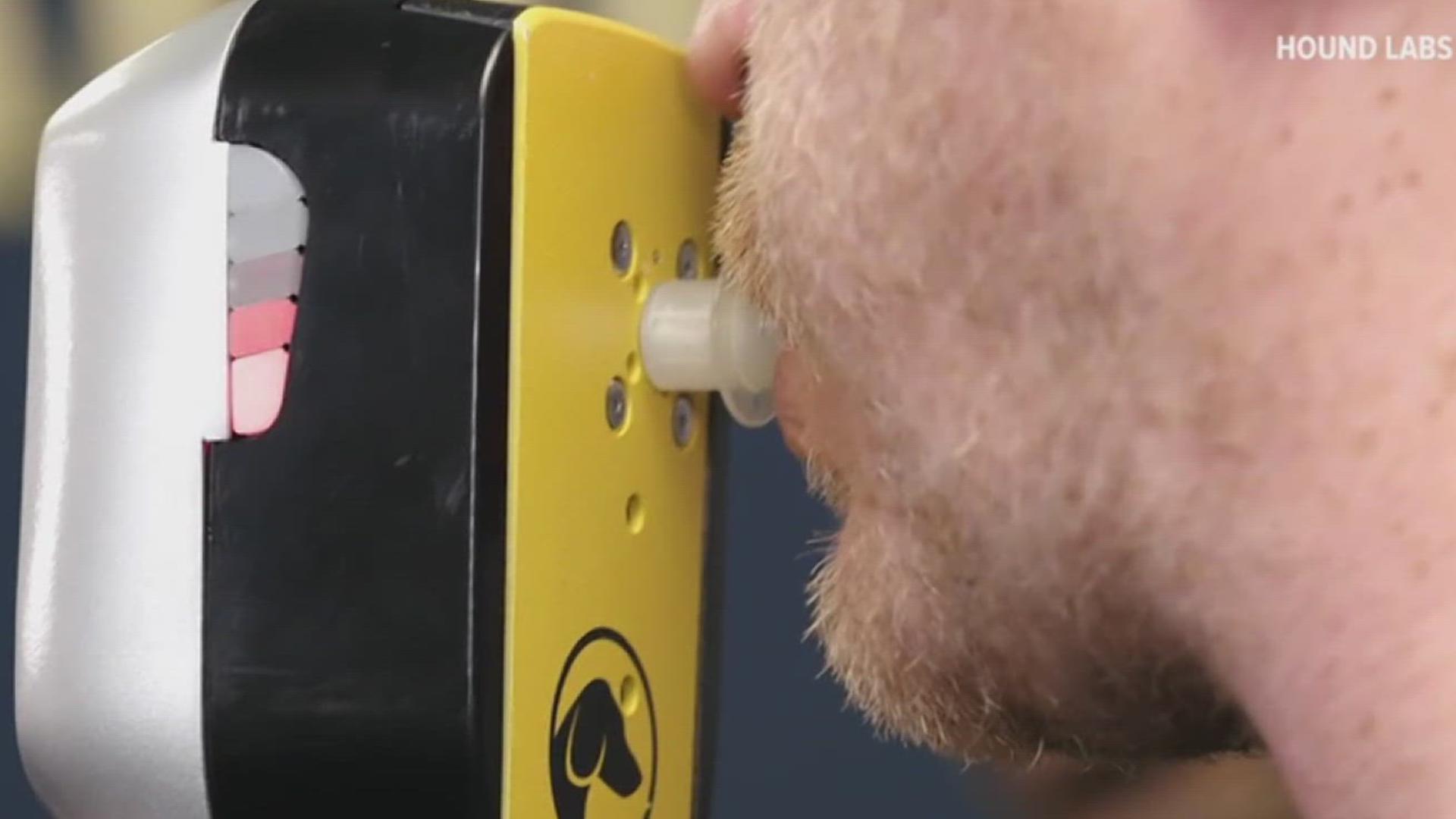 New DUI law closes loophole in PA | wnep.com