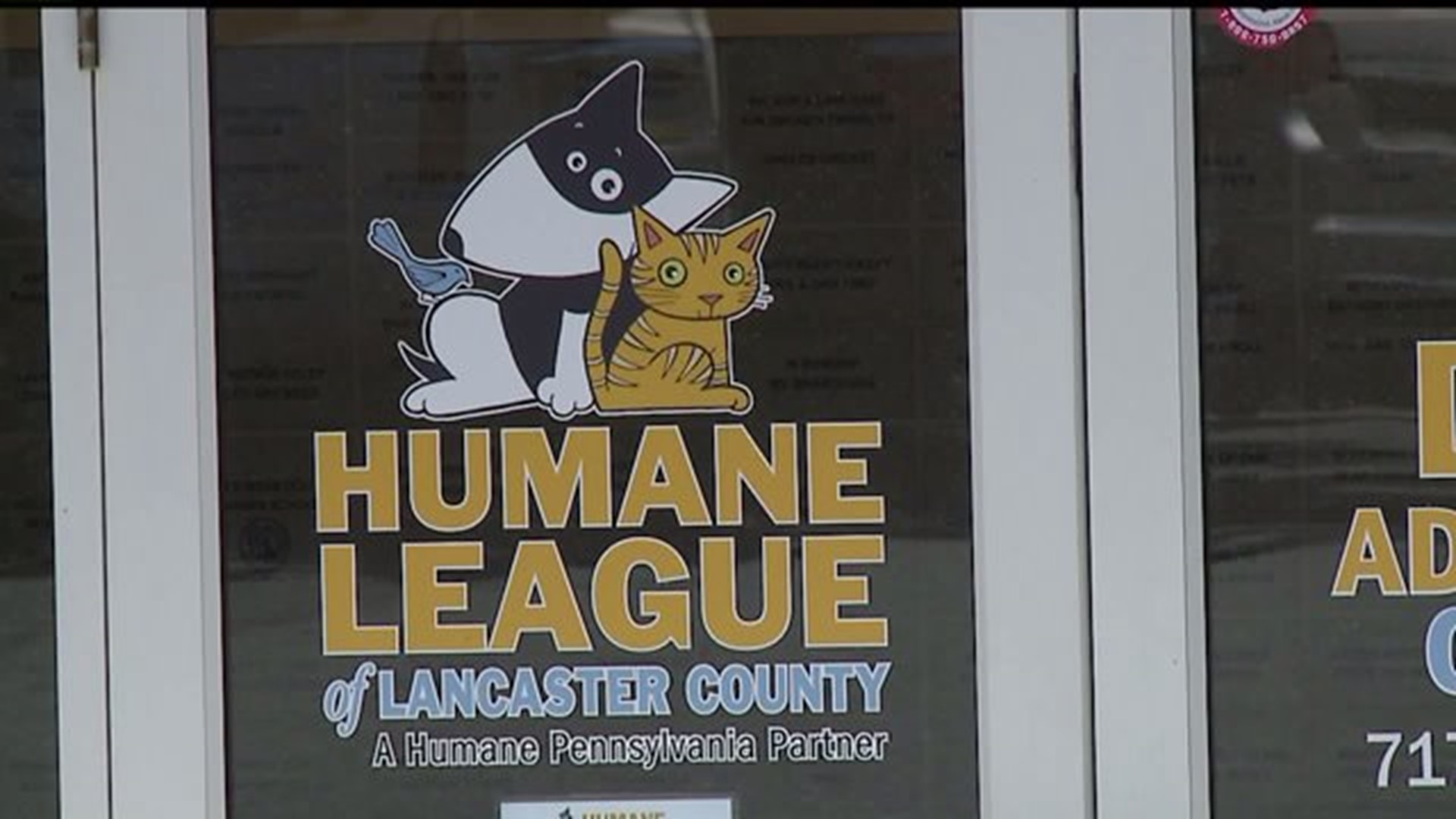 Animal abuse tip line for Lancaster County