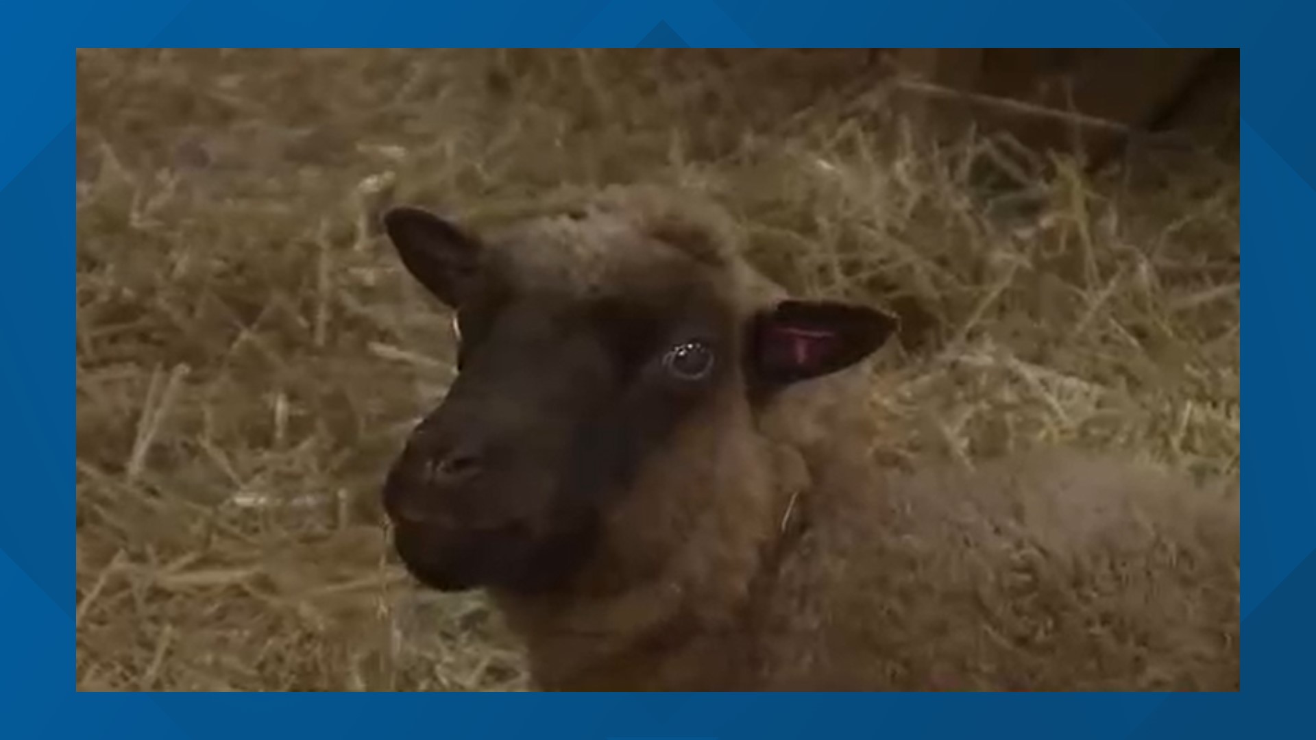 The fair started in 1973, and since then, agriculture from Lancaster County and other counties is highlighted throughout the event.