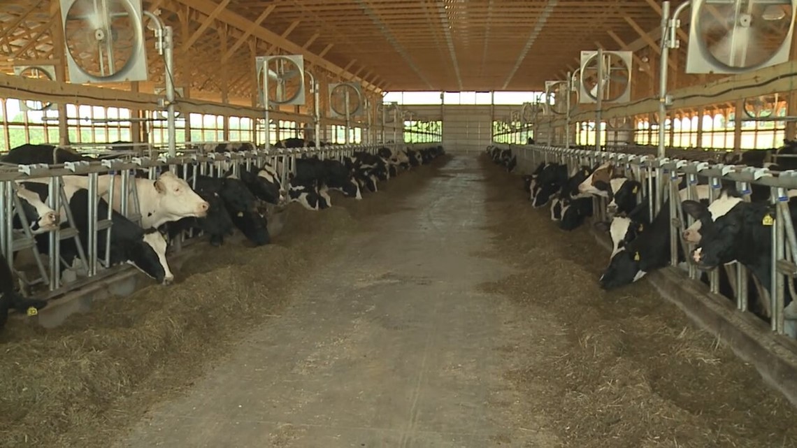 New Study Aims To Help Pennsylvania Dairy Farmers Develop 'climate ...