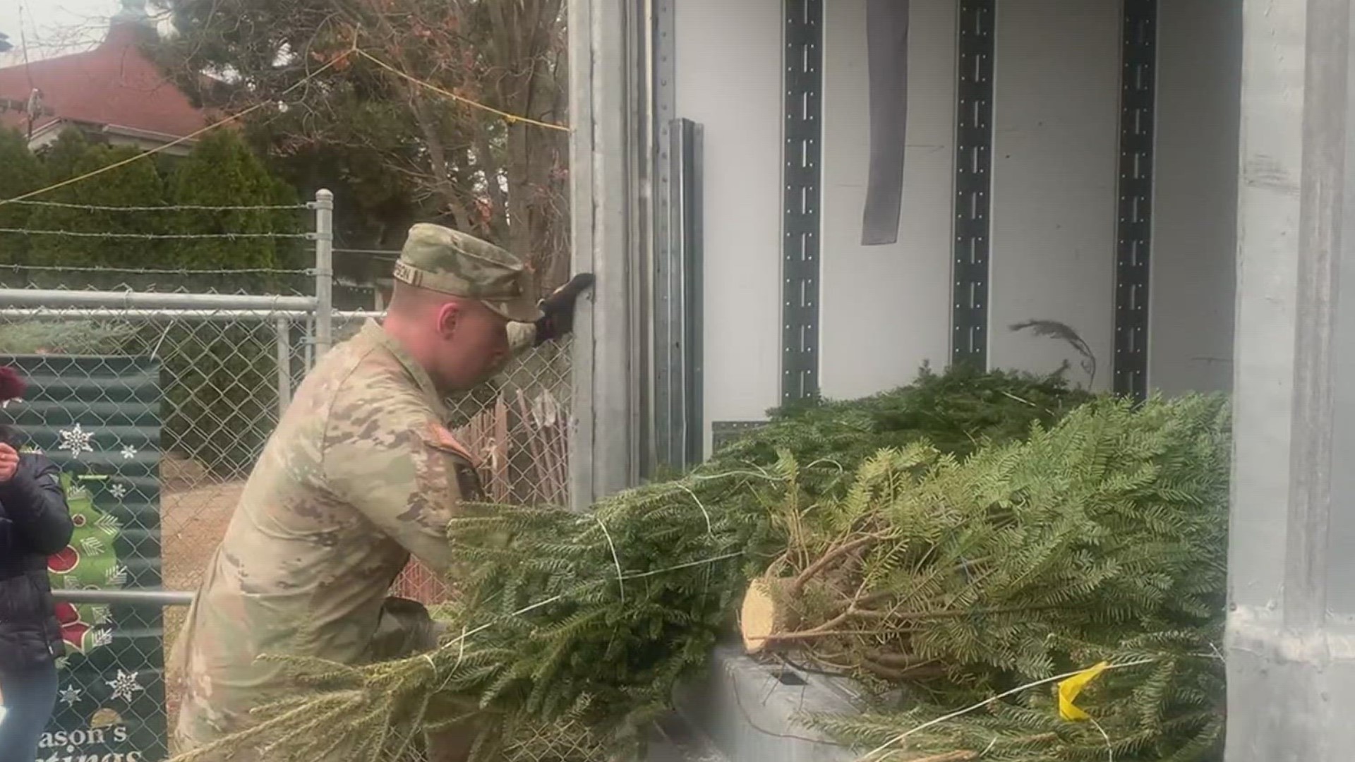 Help a military family this holiday season with the 'Trees for Troops