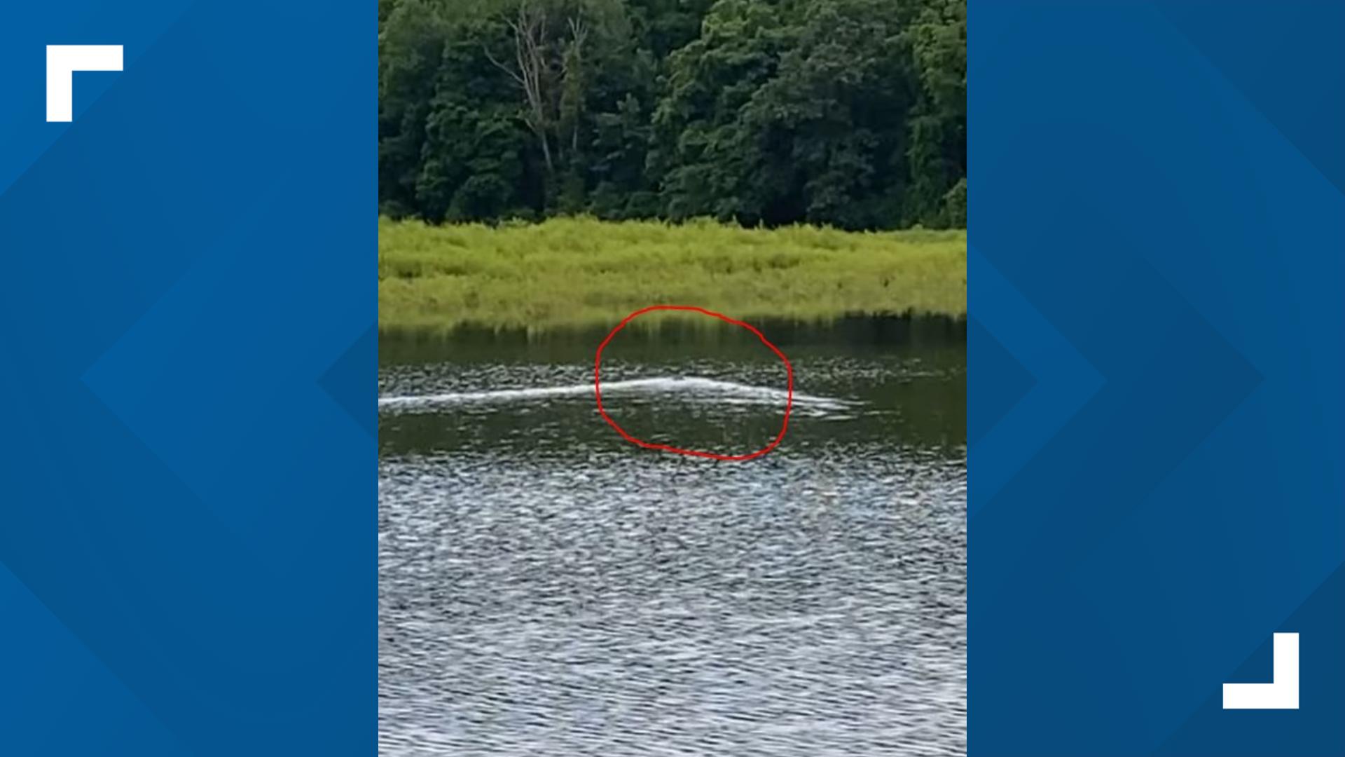 Video taken by Nathan Miller at Lake Redman, shared to his Facebook page.
