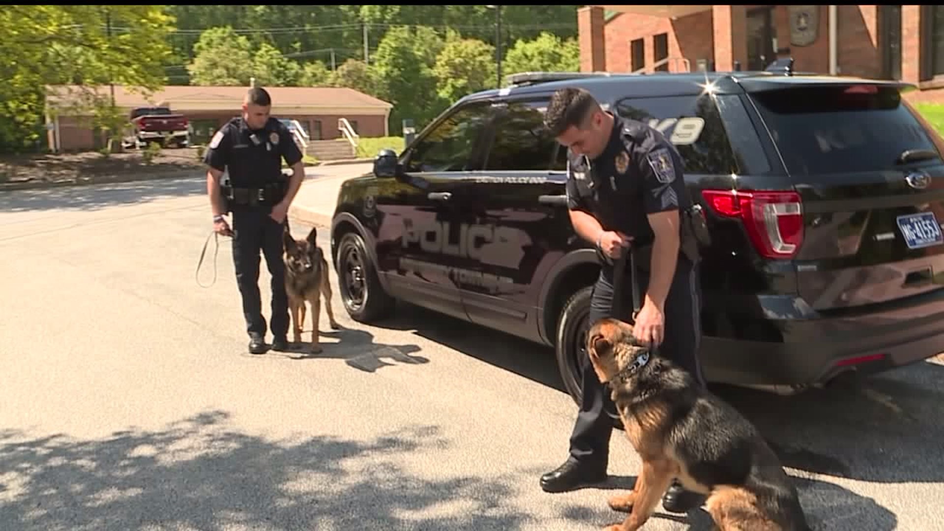 New K-9 Officers on the Force