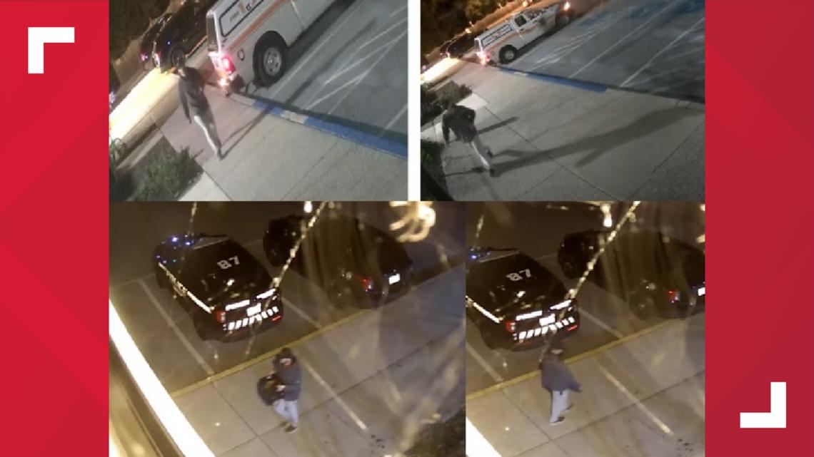 Puppies abandoned in Enola