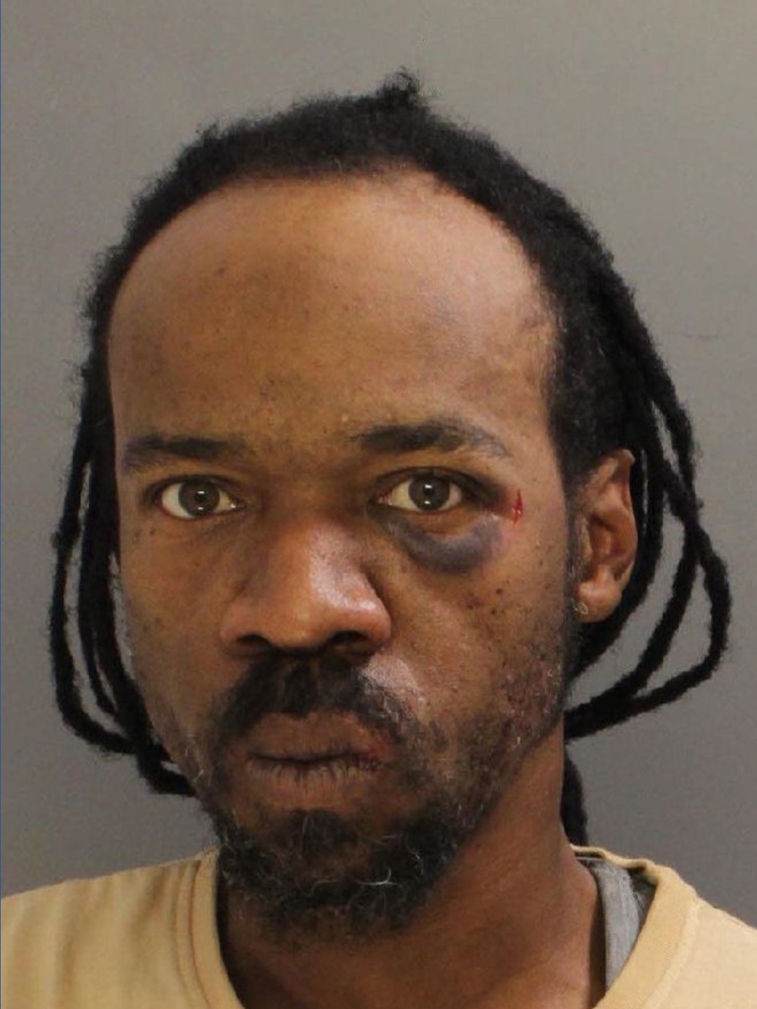 New York man and Maryland woman arrested for assault in York County ...