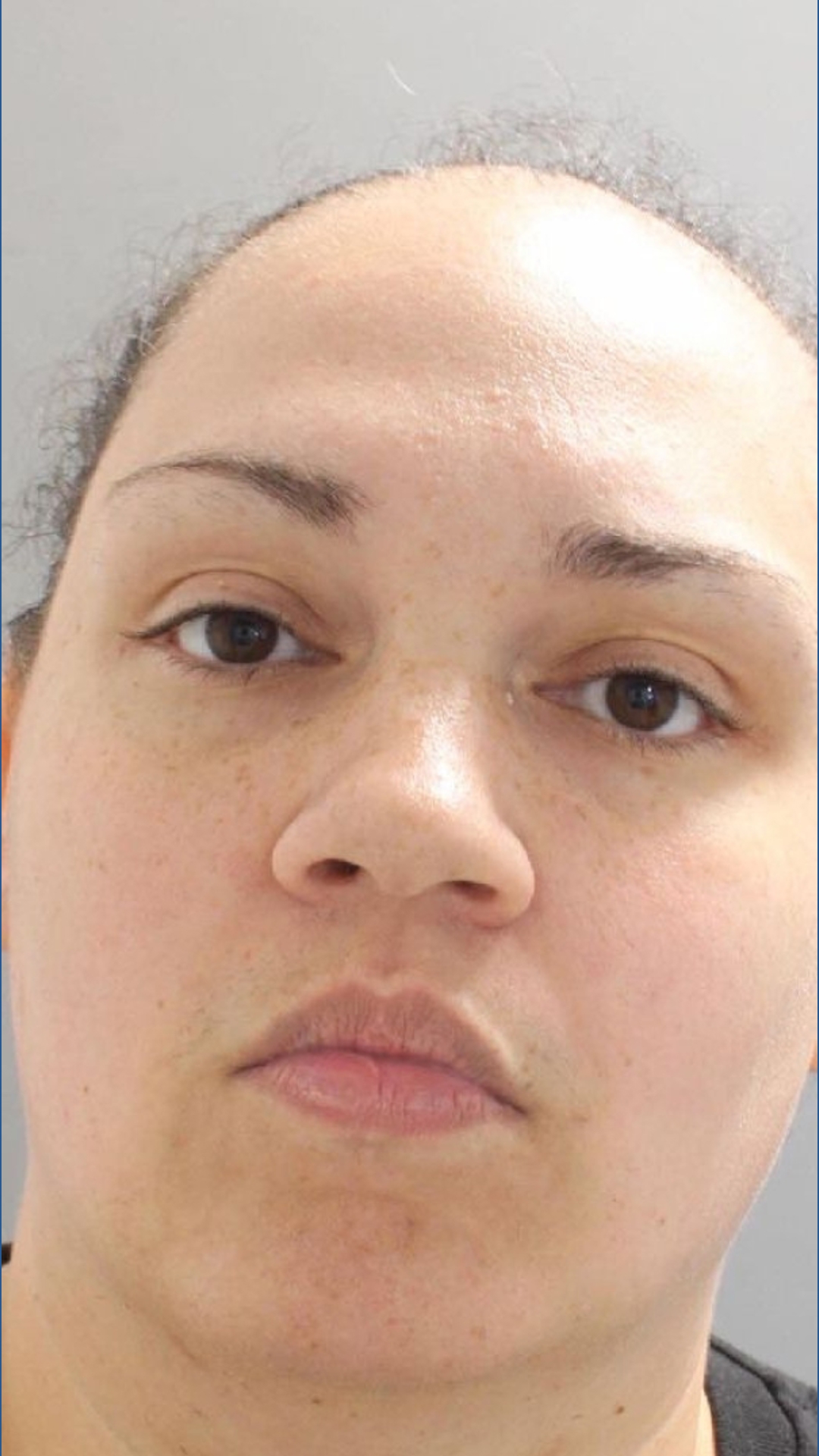 New York man and Maryland woman arrested for assault in York County ...