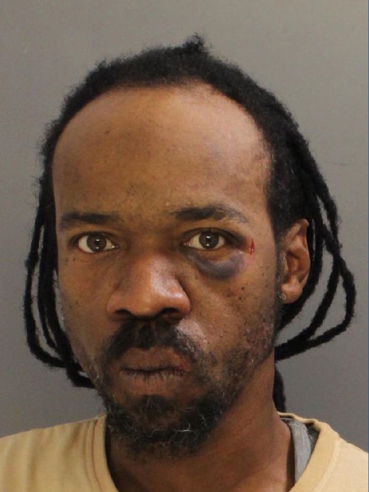 New York man and Maryland woman arrested for assault in York County ...