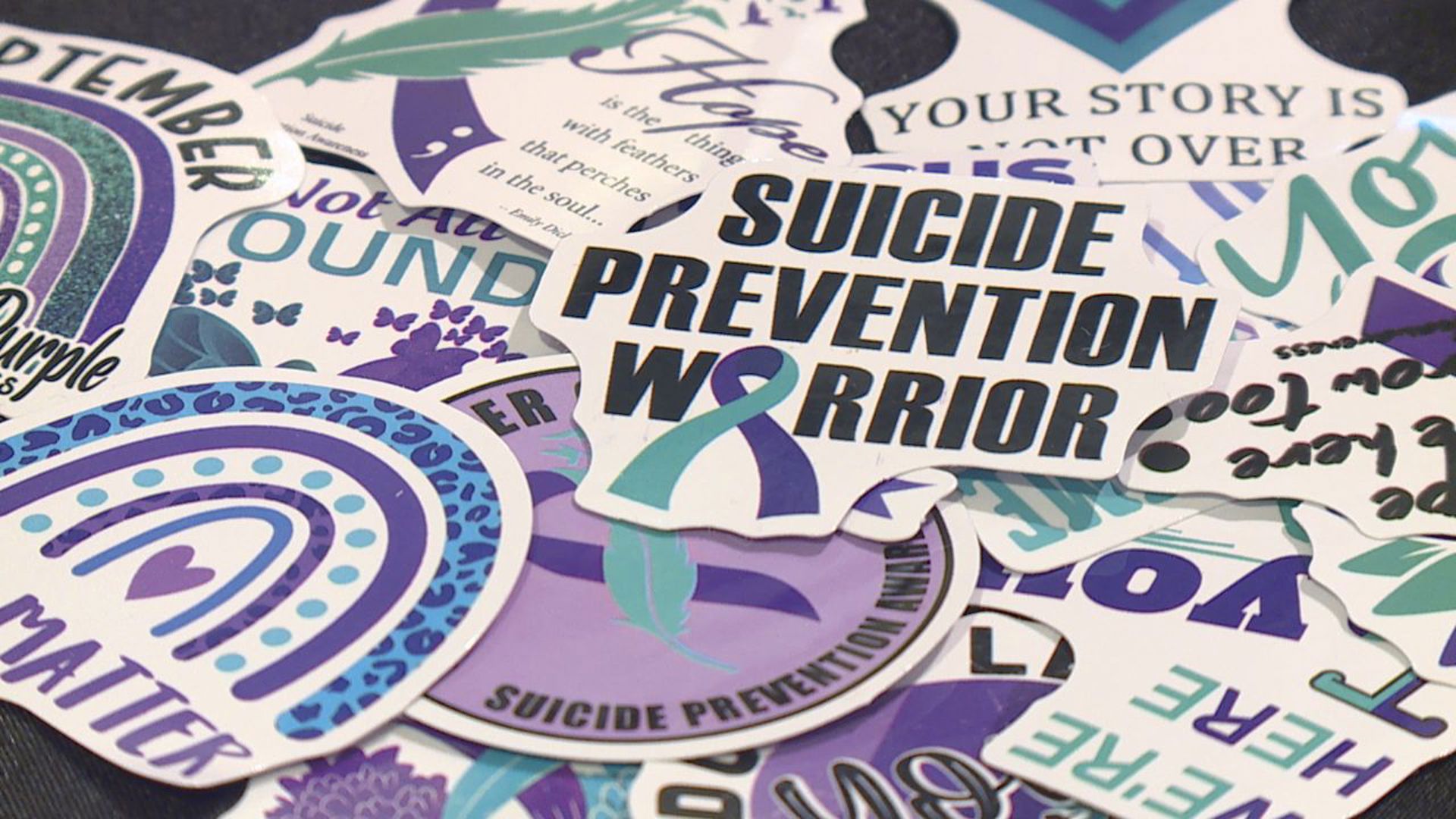 The conference allowed people to learn more about helping those struggling with mental illness get the help they need.