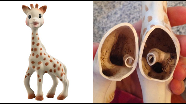 Your child's 'Sophie the Giraffe' toy might be filled with mold