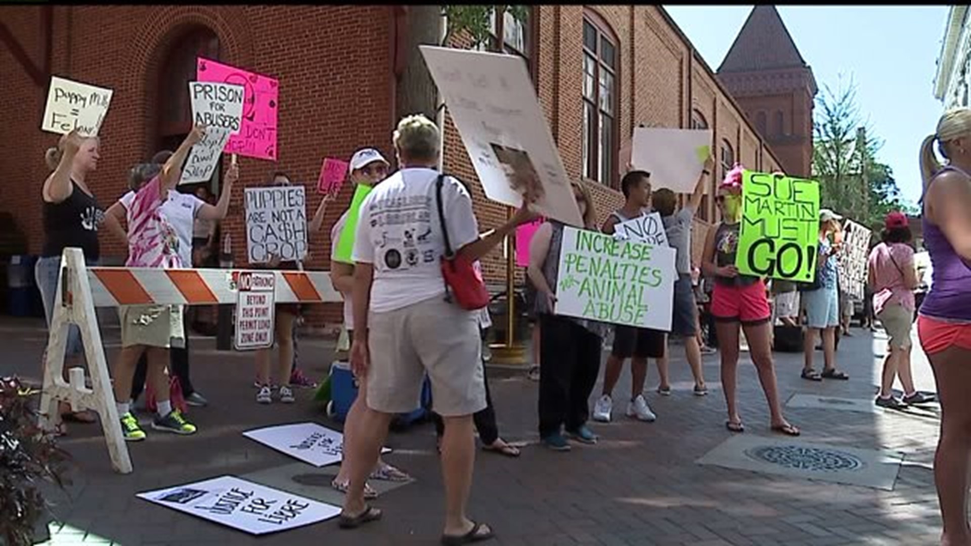 Protesters speak out against animal abuse