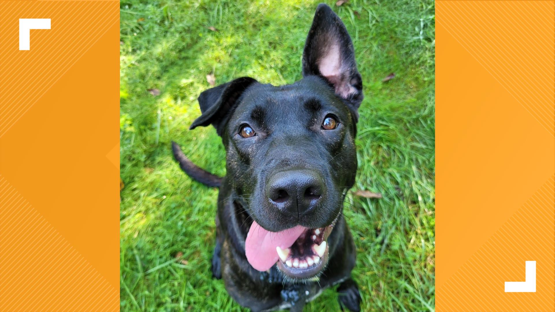 Meet MMMBop