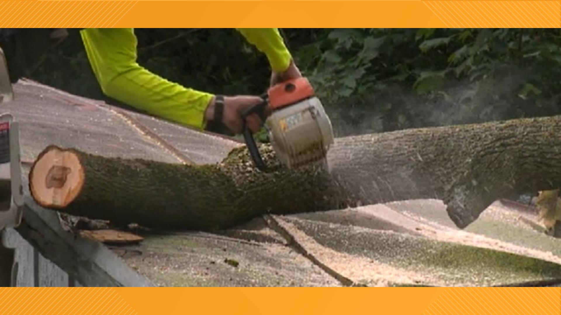 As central Pa. braces for the impending arrival of the remnants of Tropical Storm Debbie, tree service companies are gearing up.