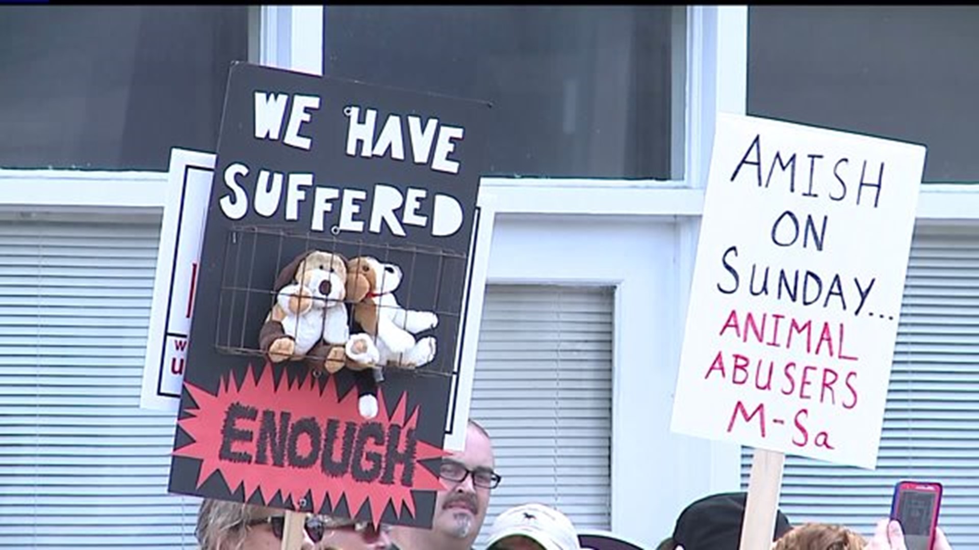 Protesters want justice for dog, demand SPCA director to step down