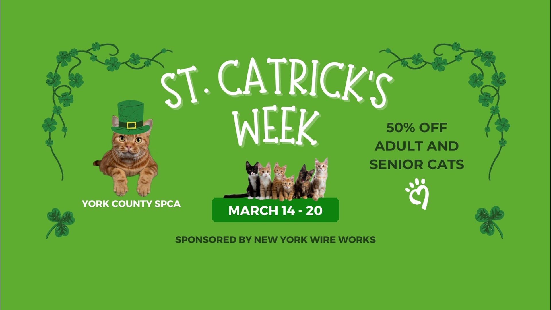 Through March 20, interested adopters can get 50% off any adult or senior cat.