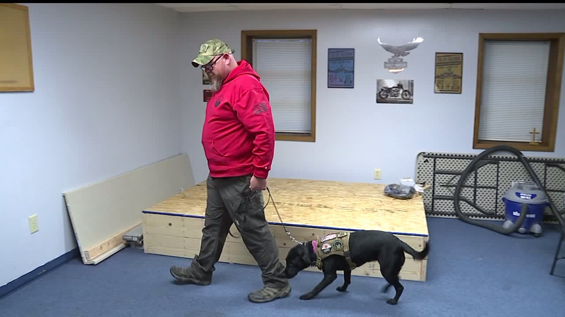 The power of four paws: Veteran with PTSD trains service dogs for other veterans