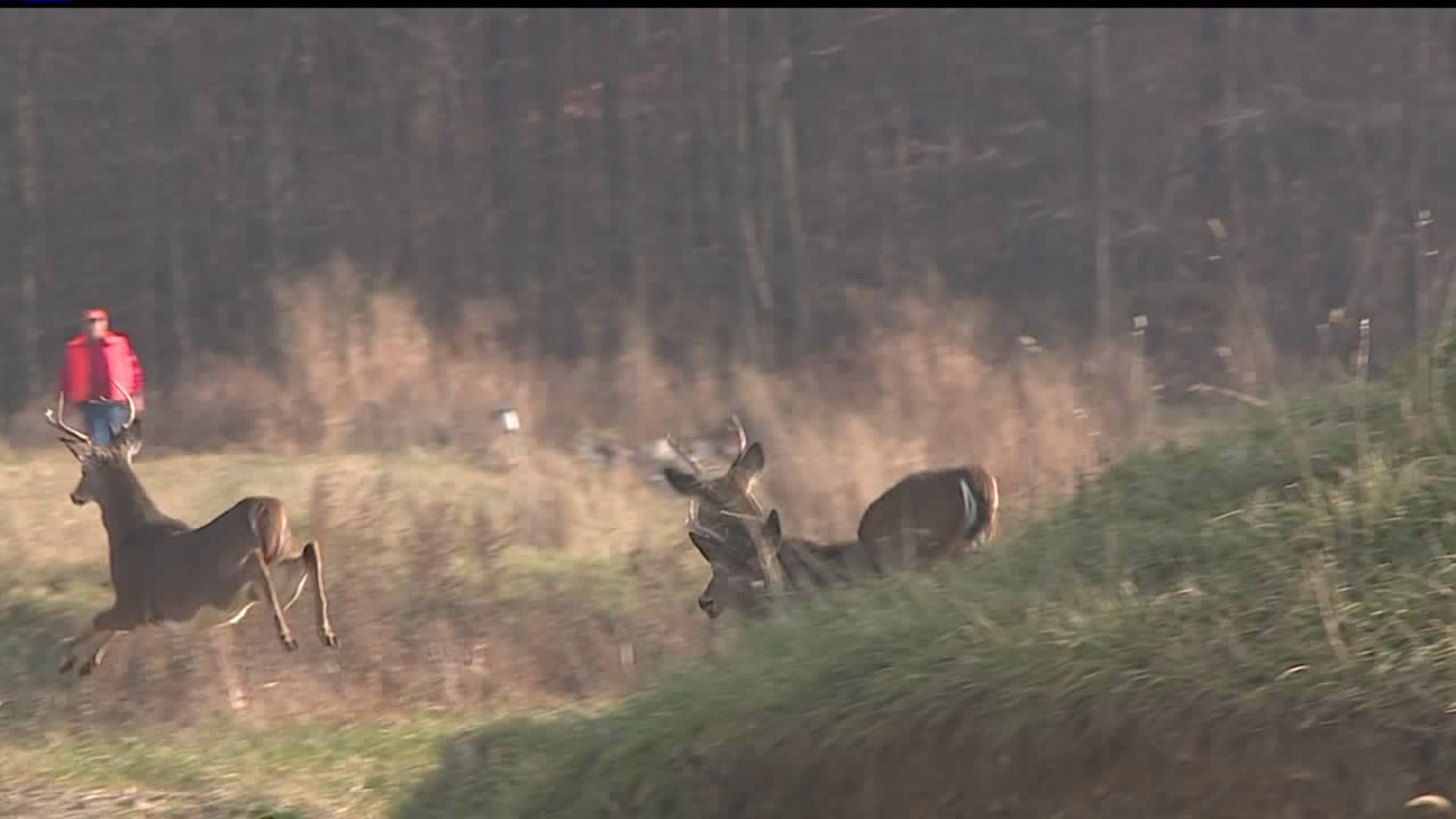 Annual Disabled Veterans Hunt takes place at Lanchester Landfill in Lancaster County