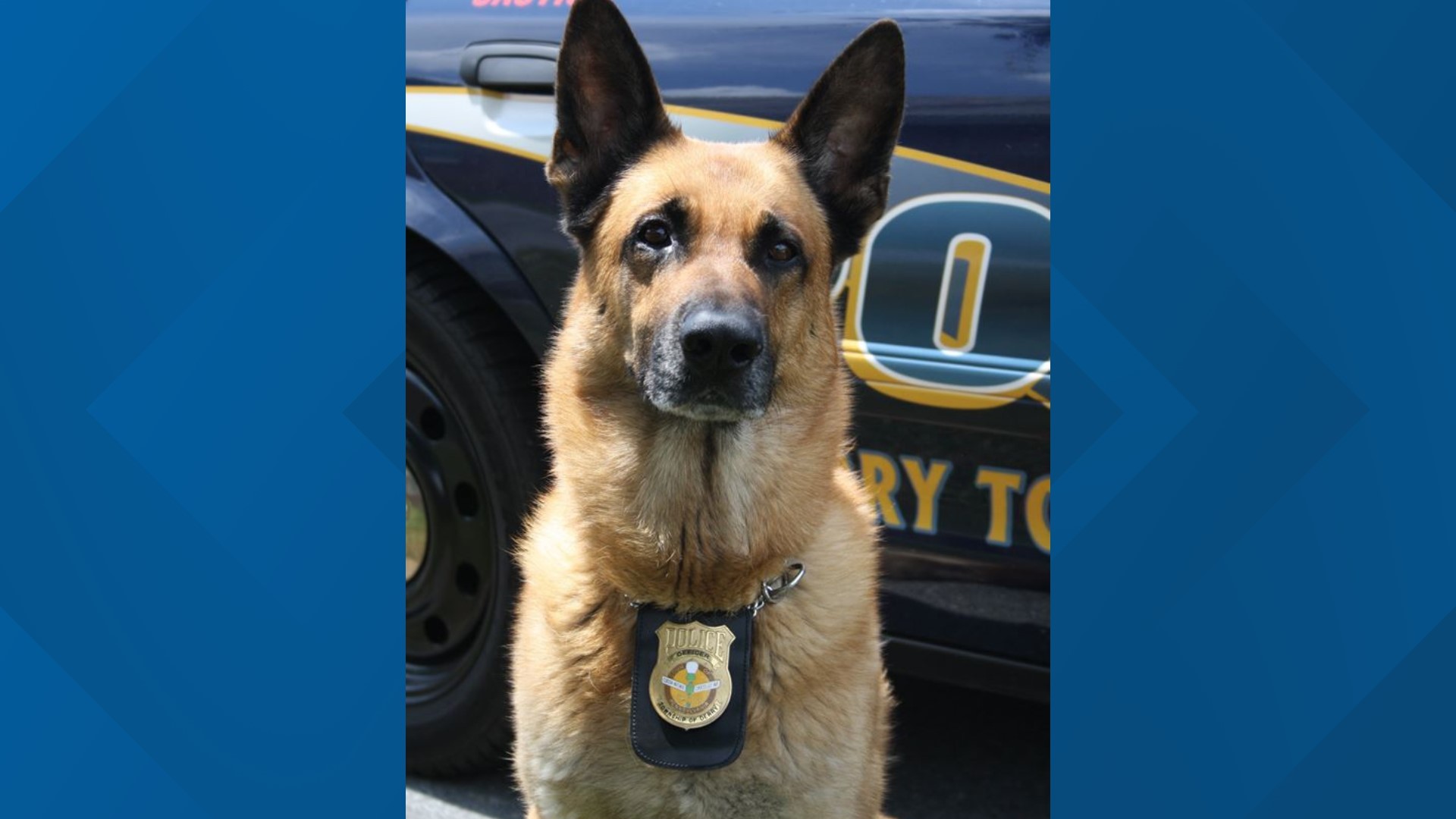Retired Derry Township Police K9 Officer Chico Has Died Department Says