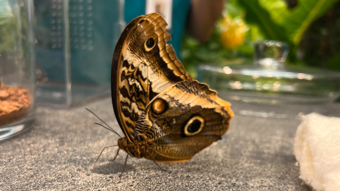 Interactive hands-on learning at Hershey Gardens Zoology Zone - Vimarsana News