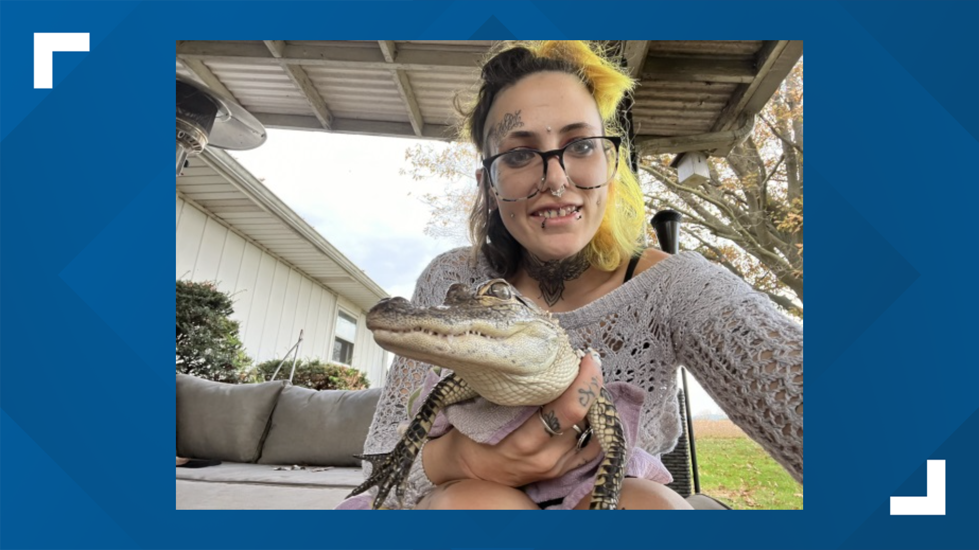 Brandy and Erik Gwynn posted on Facebook that their pet alligators, Cleo and Georgia, were allegedly stolen over the weekend from their enclosure.