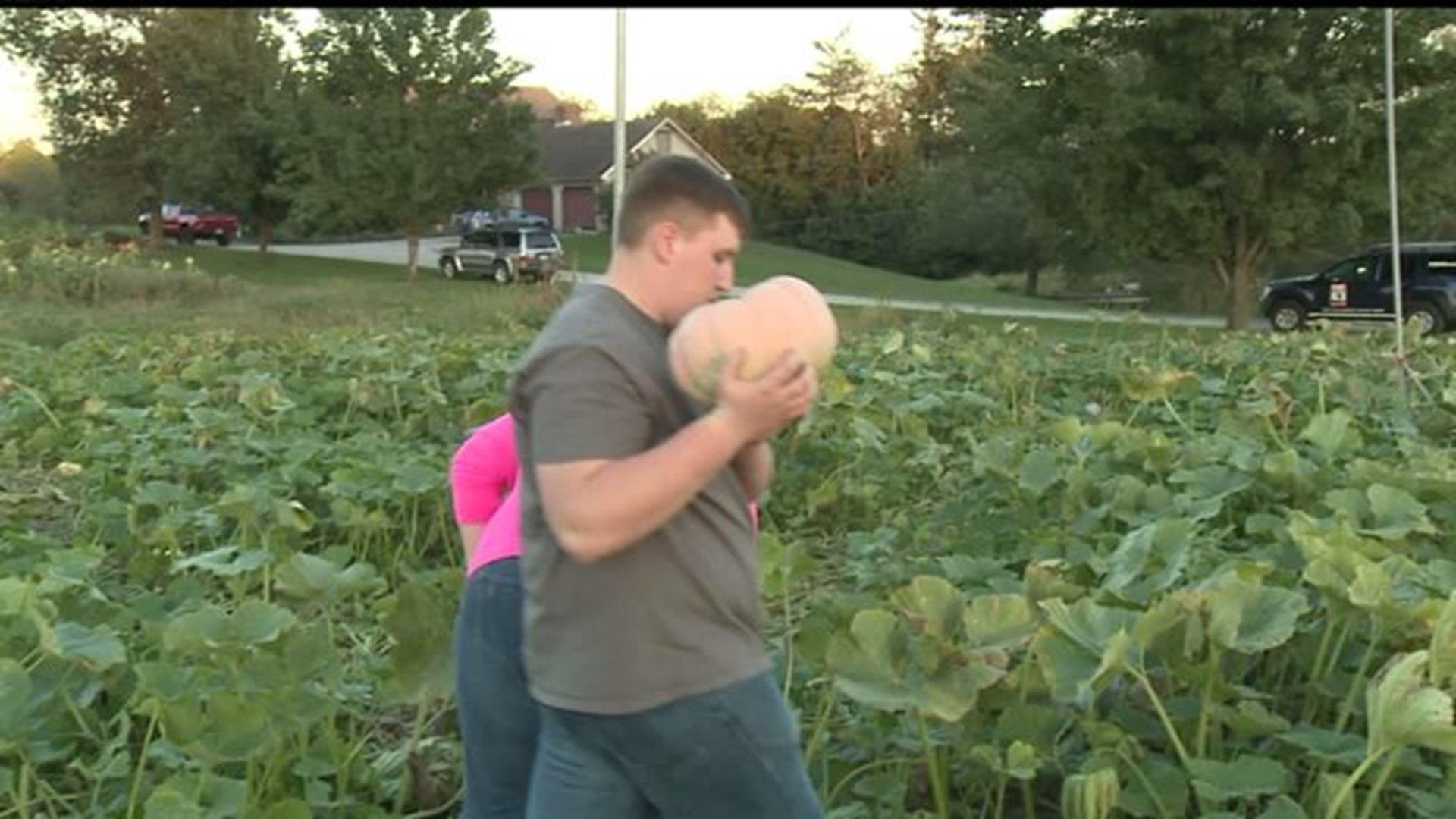 Pink pumpkins planted for Breast Cancer Awareness month in Adams County