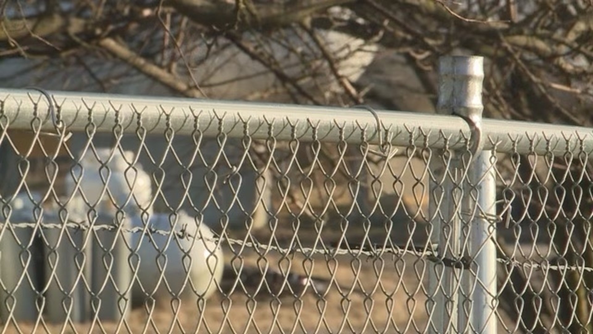 The original proposal would allow property owners to build a fence up to 12 feet high, as long as the property was for commercial or industrial use.