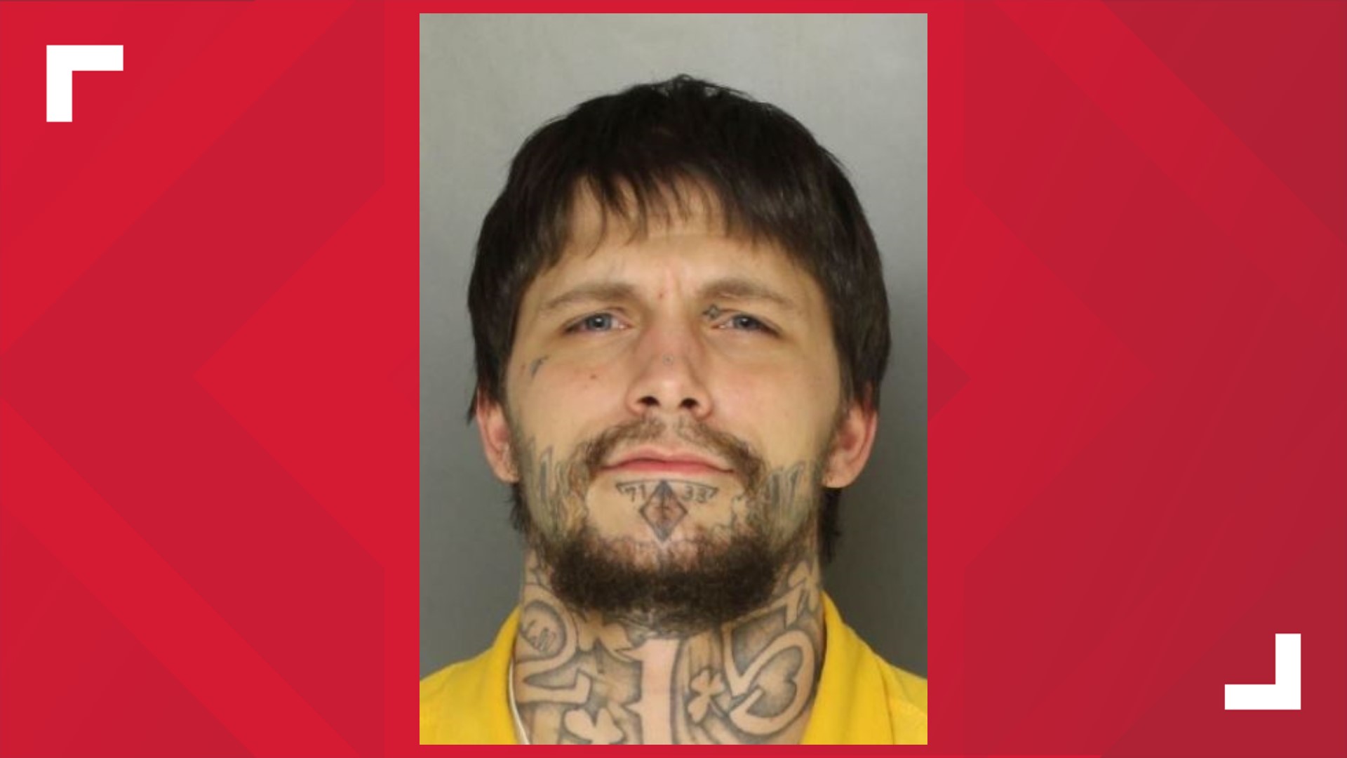 Ephrata man sentenced to 10-20 years in prison for pellet gun robberies