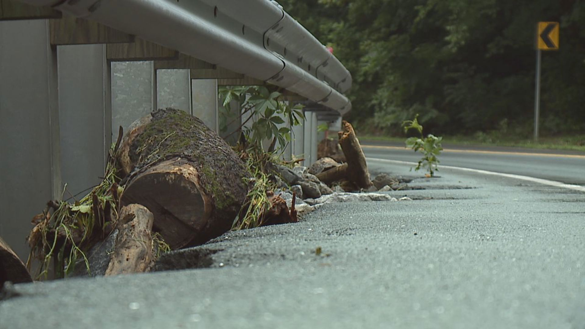 With remnants of Tropical Storm Debby threatening to bring more heavy weather to the region, safety experts advise drivers to avoid flooded roads.