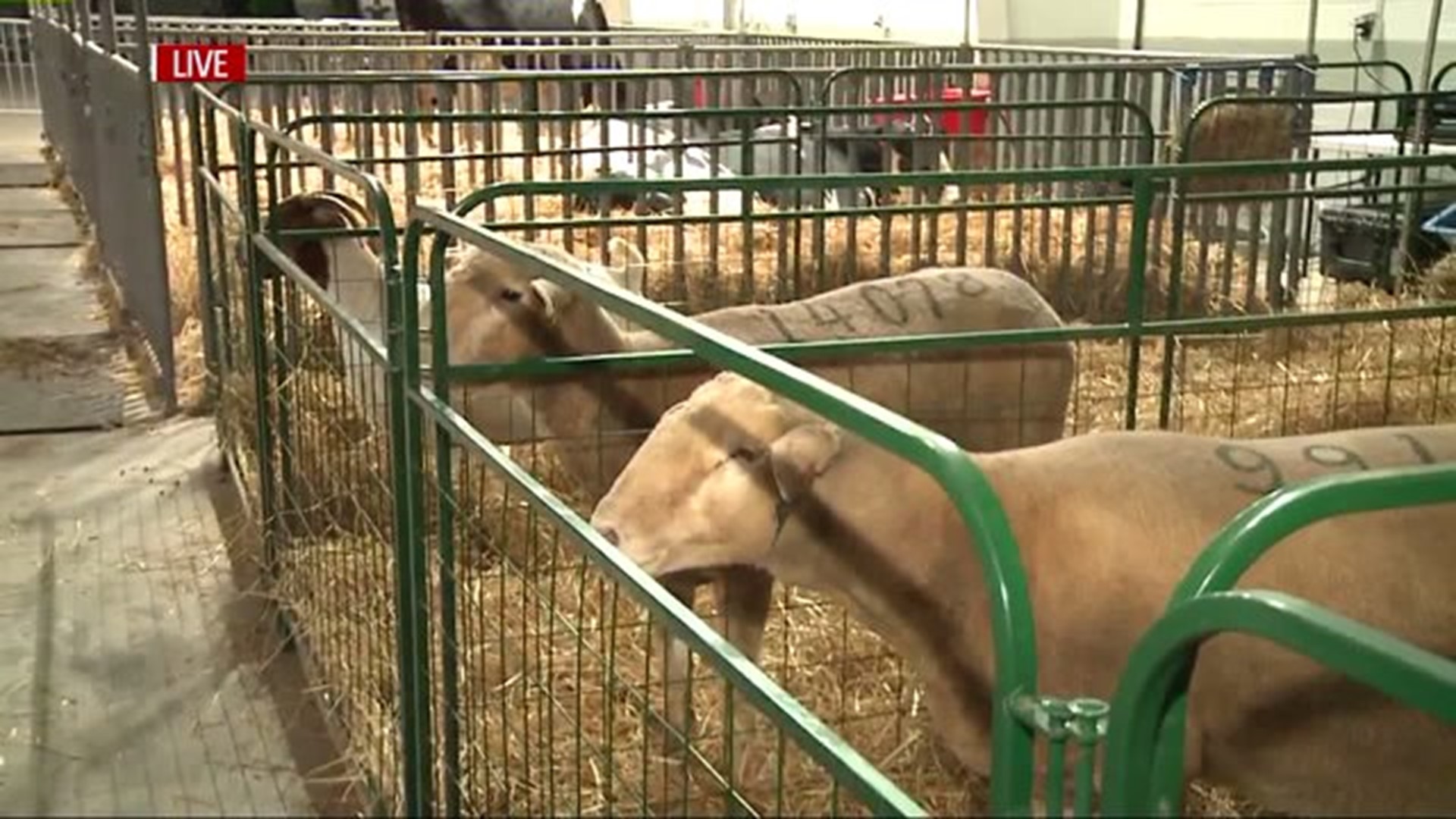 The York Fair kicks off today in West Manchester Township