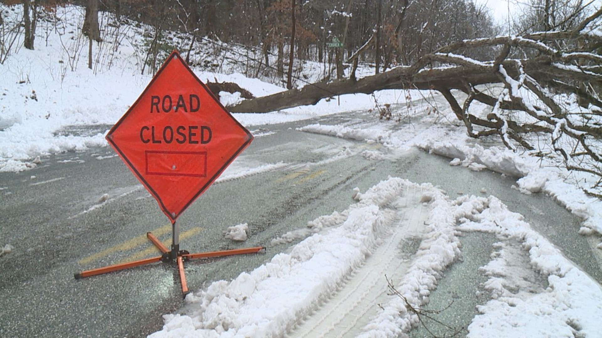 Thousands of people were left without power and several trees and powerlines were knocked over due to the winter weather.