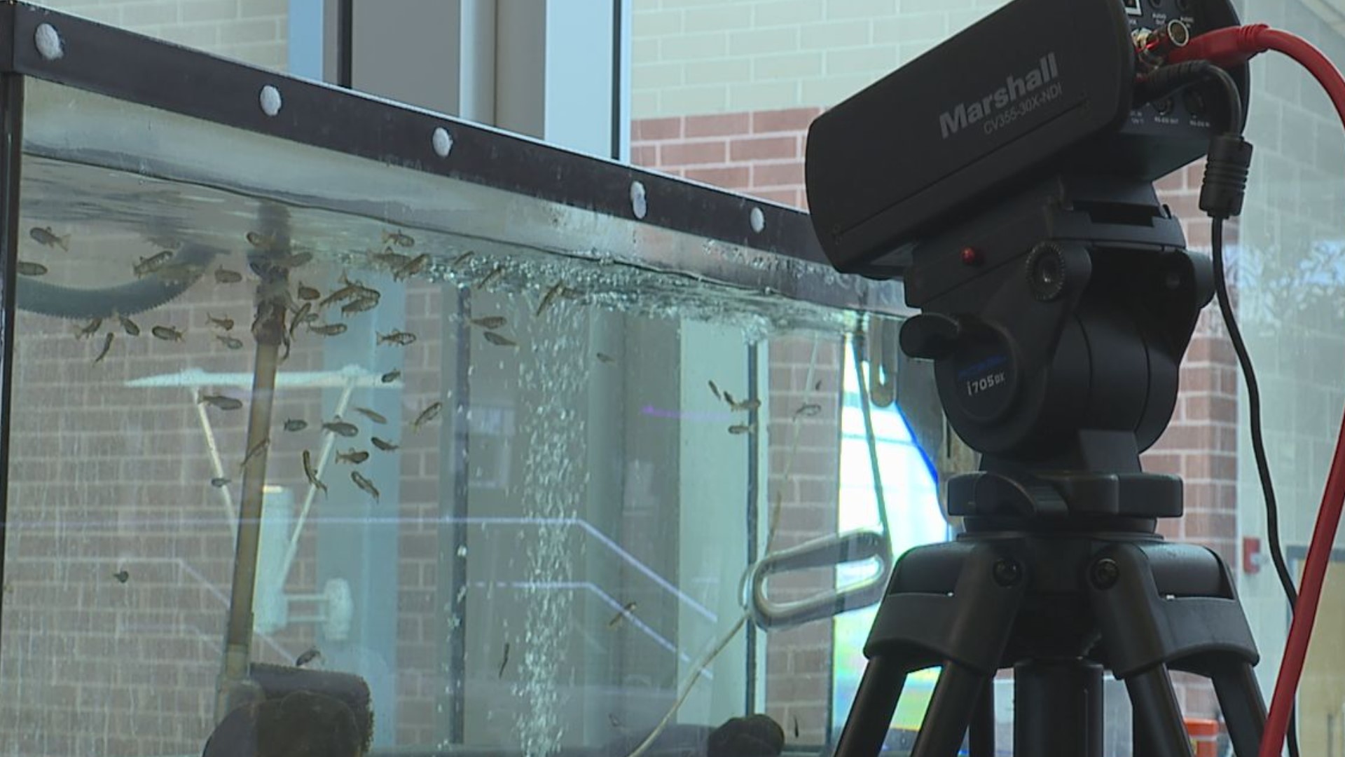 Sometimes the sights and sounds of learning can be fishy... and that's the case at Spring Grove High School, all thanks to the Codorus Chapter of Trout Unlimited.