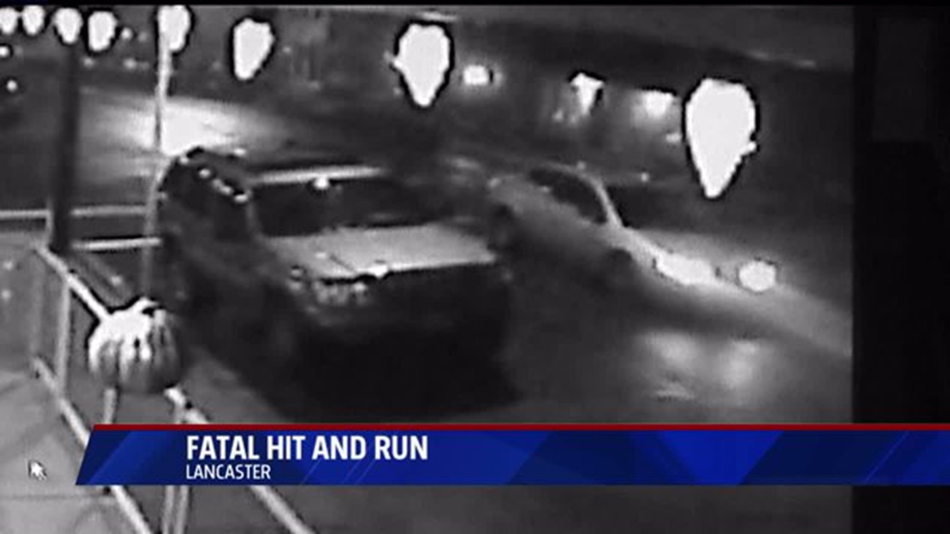 Fatal hit and run