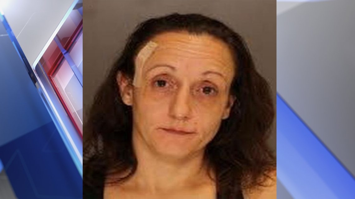 Adamstown woman facing charges after domestic violence incident