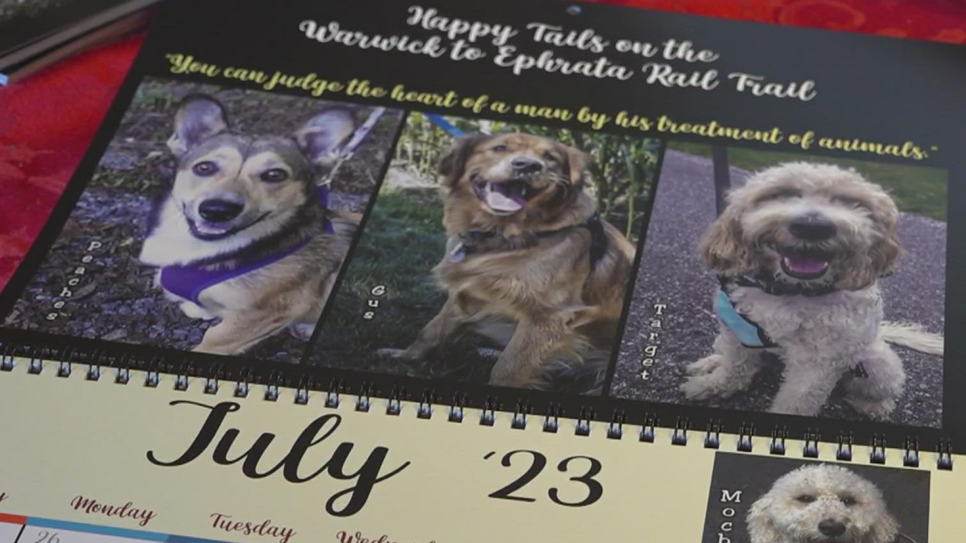 A Lititz photographer gives back to the Pet Pantry with a dog calendar.