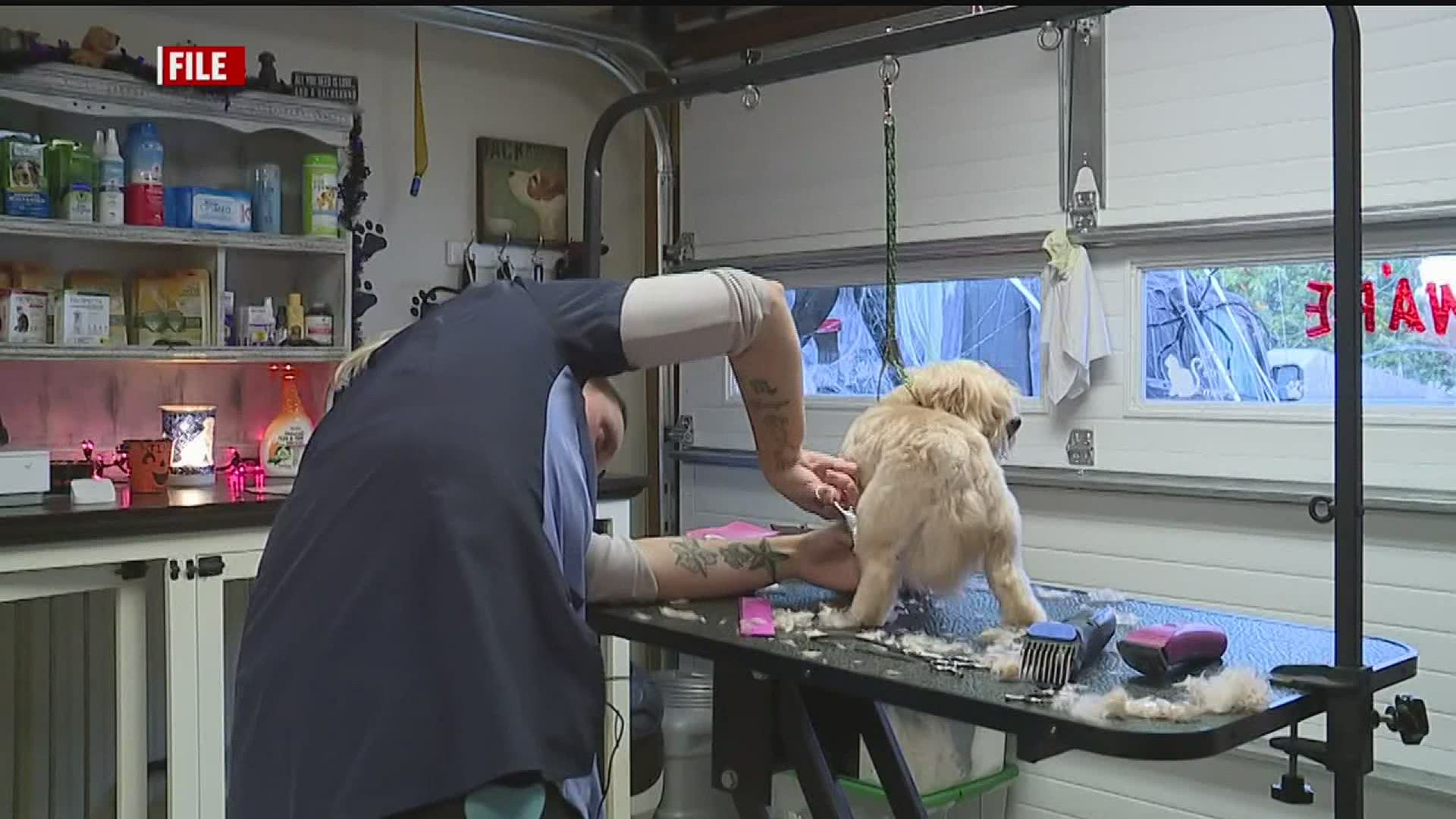 Pet groomers say they have heard from many pet owners concerned about their pets well-being after not being able to get groomed.