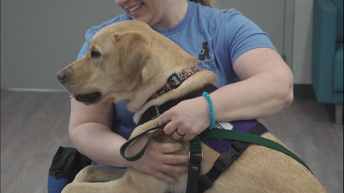 Lebanon County looking to add facility dog to courthouse staff - Vimarsana News