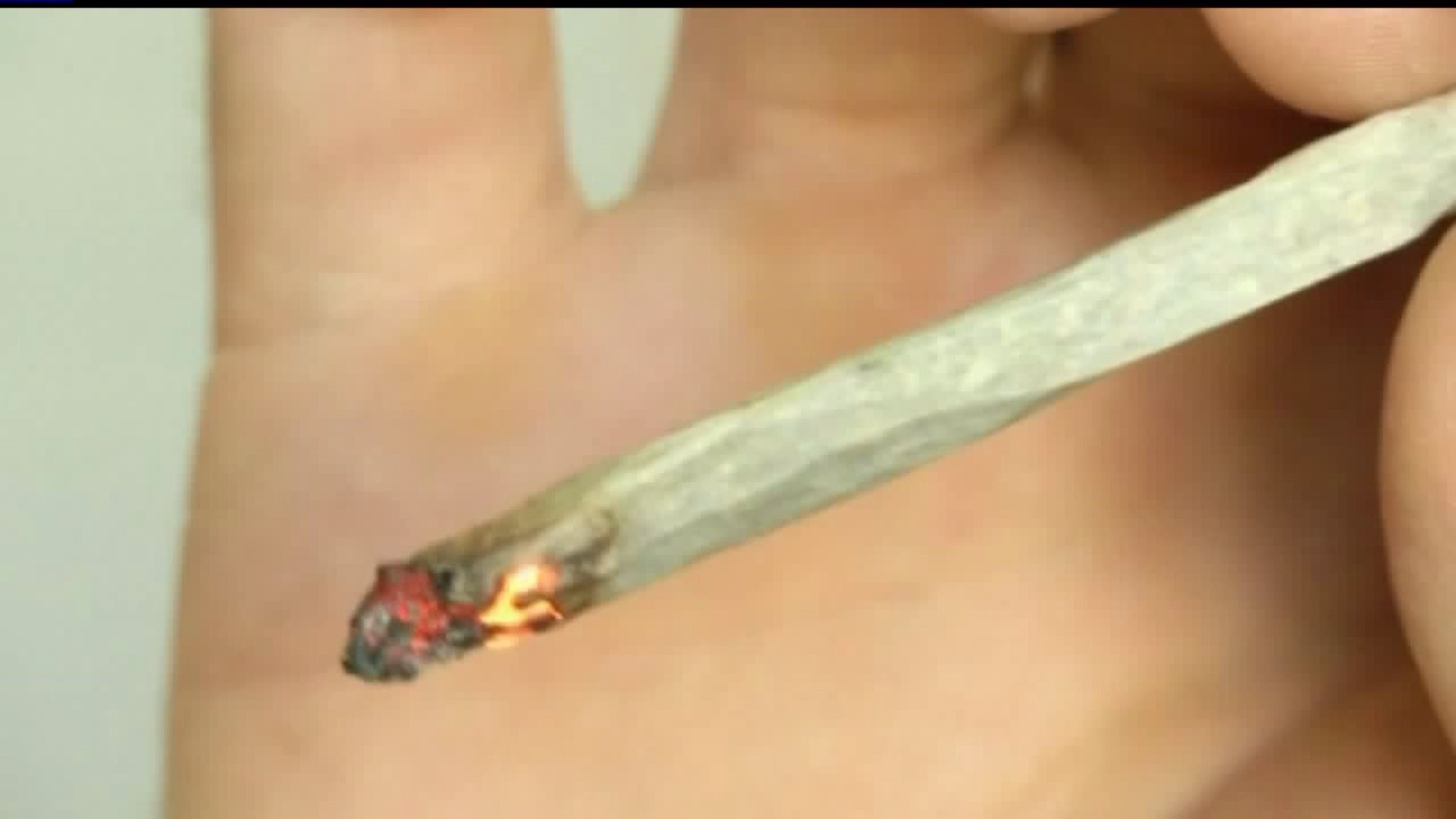 FOX43 Focal Point: Cannabis in the Commonwealth  Should Pennsylvania fully legalize marijuana?