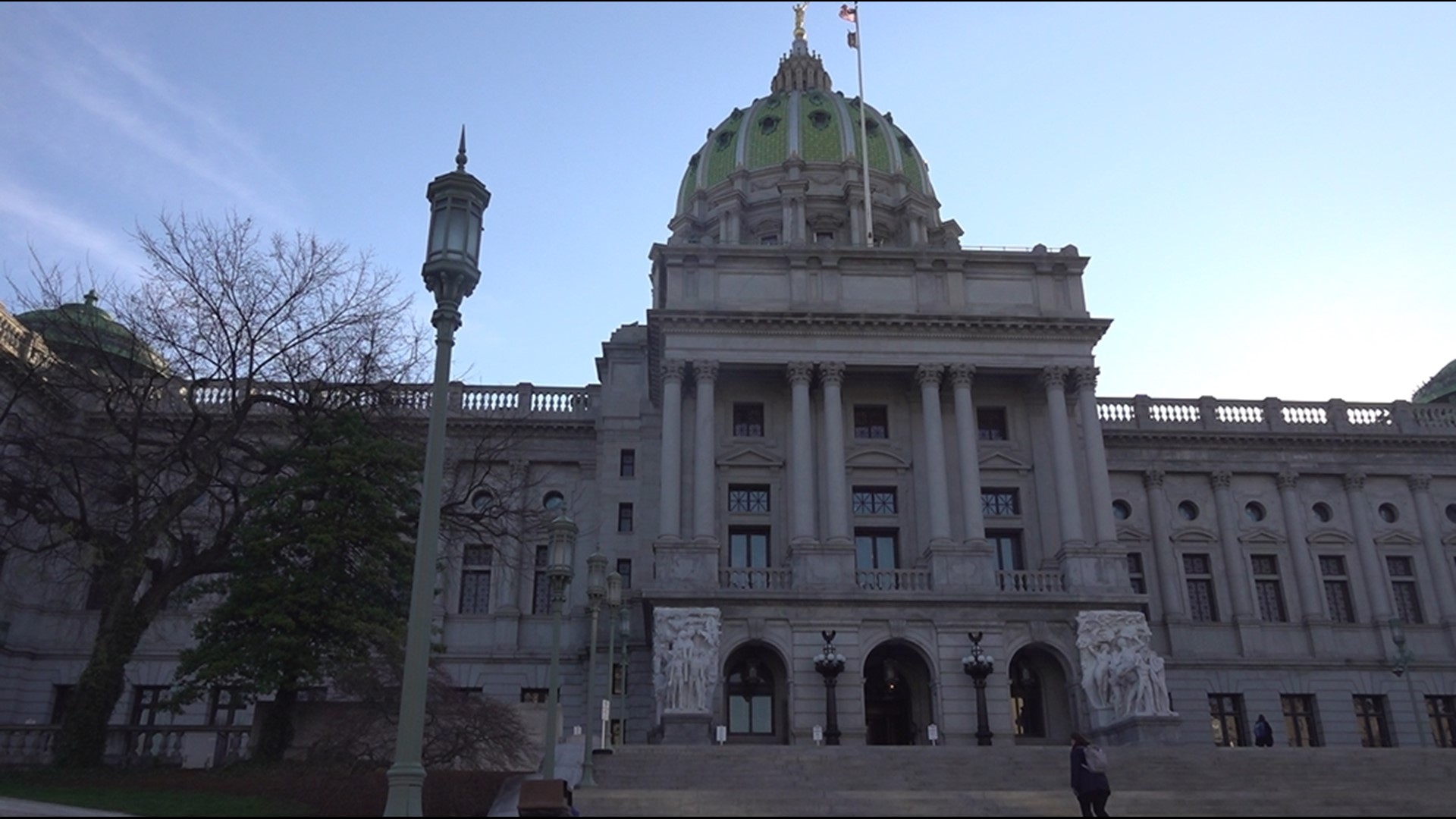 The second year of Lights Out Harrisburg is underway, in an effort to help reduce declining bird populations nationwide.