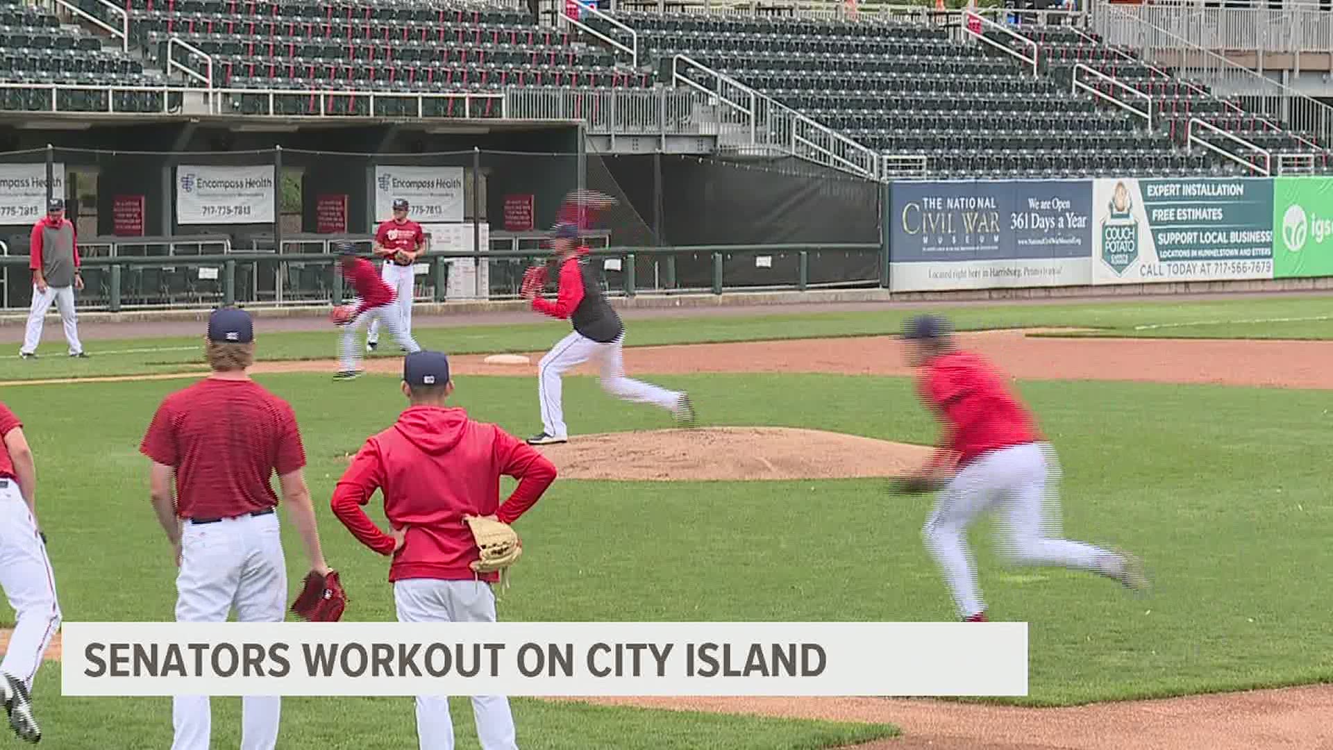 Senators Baseball is back on City Island