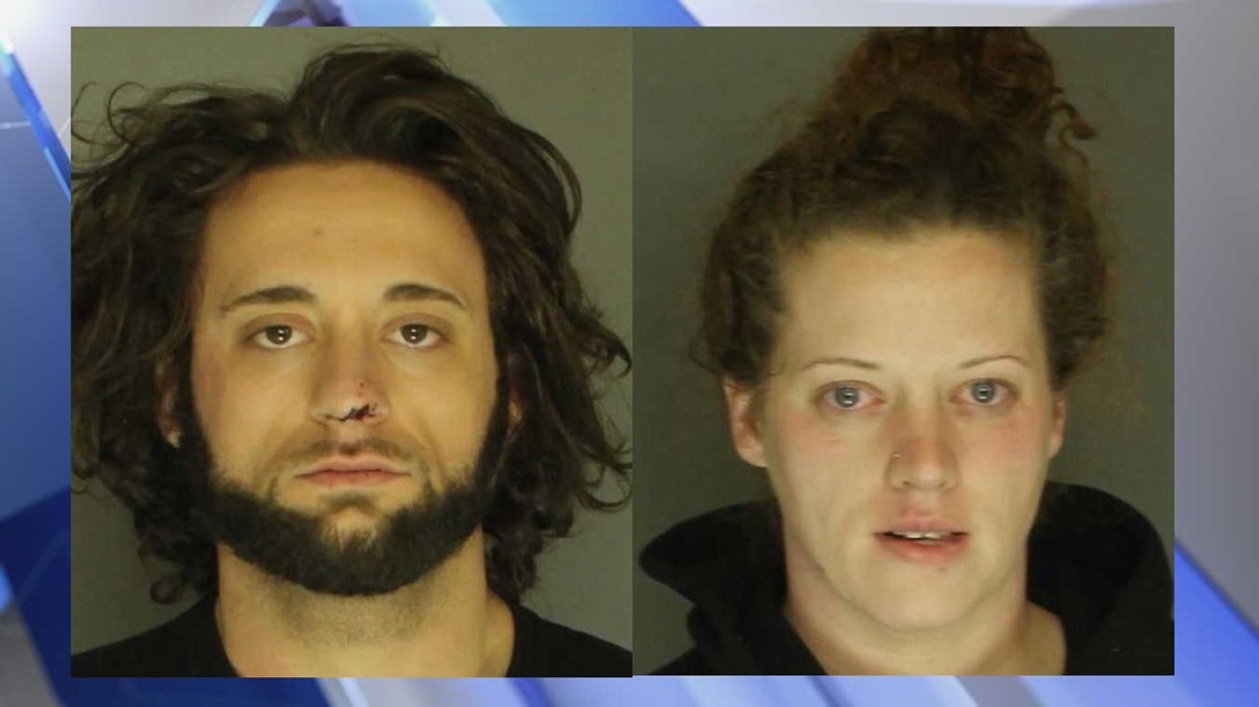 Couple faces drug possession charges after bust at Fairview Township ...