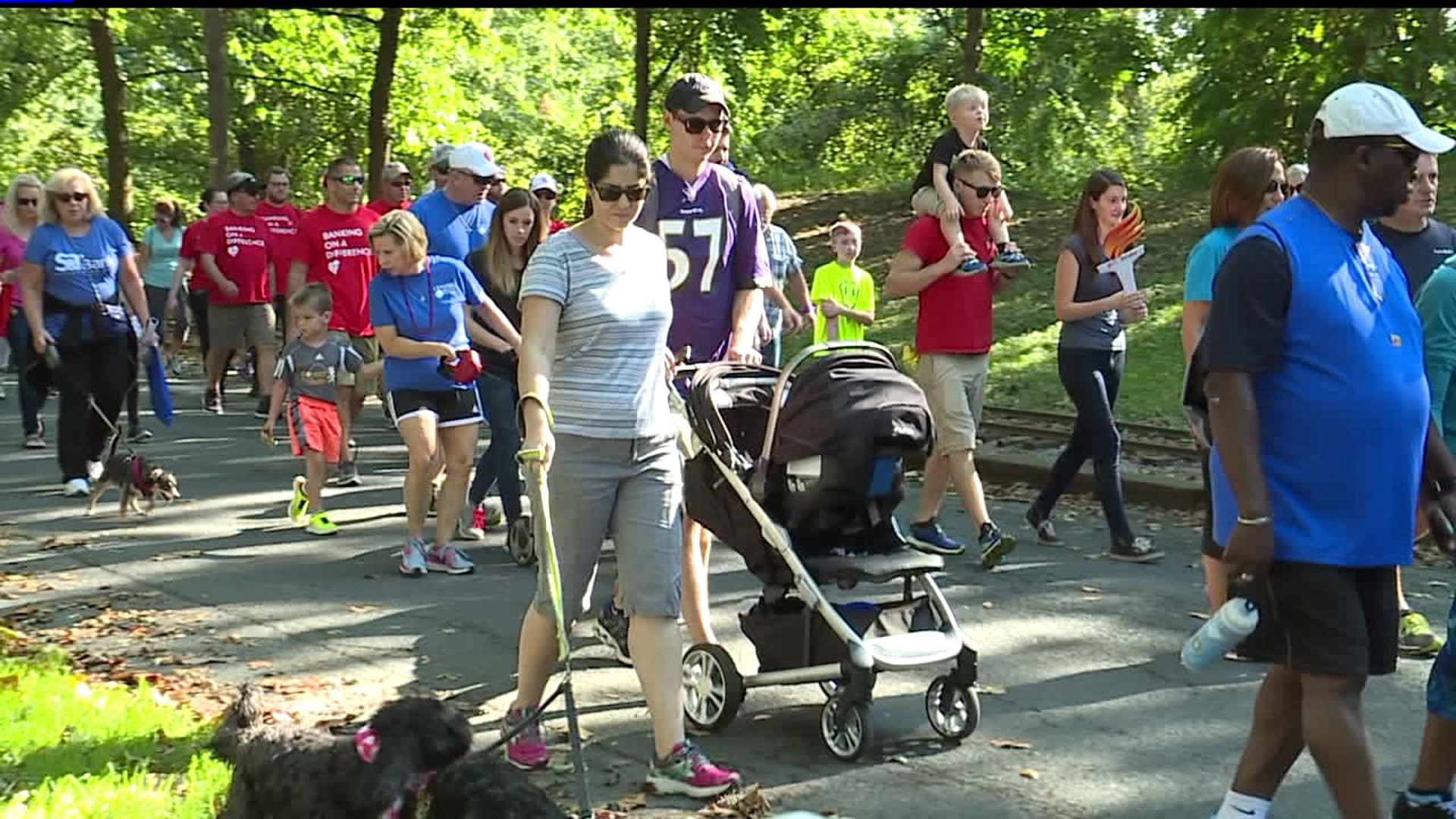 Hundreds in Harrisburg walk to shed light on heart disease