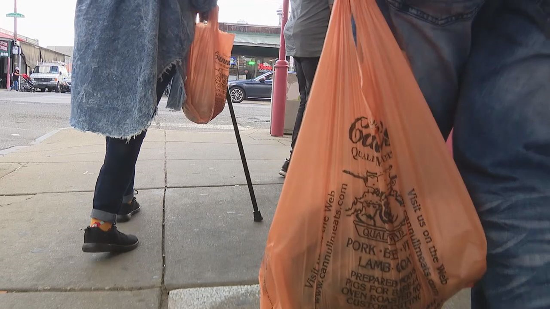 Lancaster Township's single-use plastic bag ban went into effect on January 1, 2024 in an effort to better the environment.