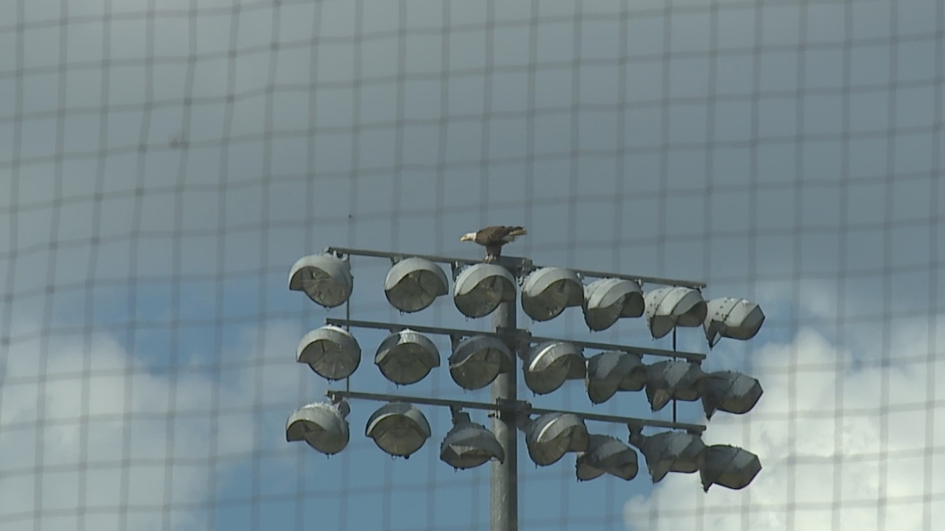 Fans had their choice, both the York Revolution and Lancaster Barnstormers had home games tonight.