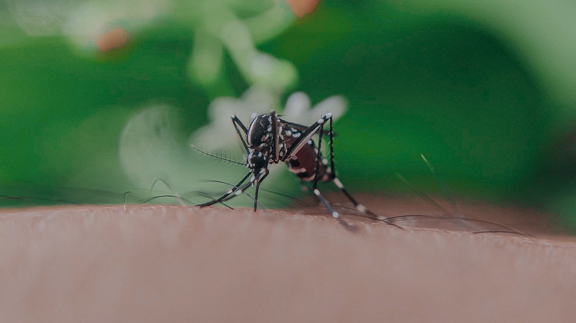 What happened in health news this week? | Health Smart