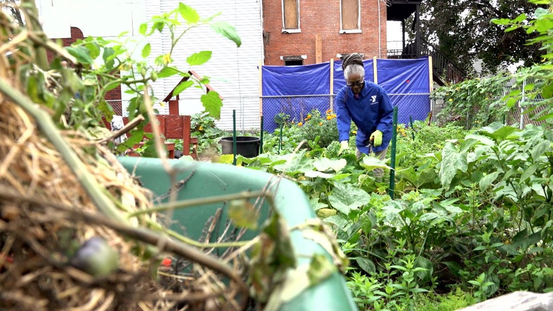 Harrisburg community garden teaches children about urban agriculture, nutrition | Family First with FOX43 - Vimarsana News