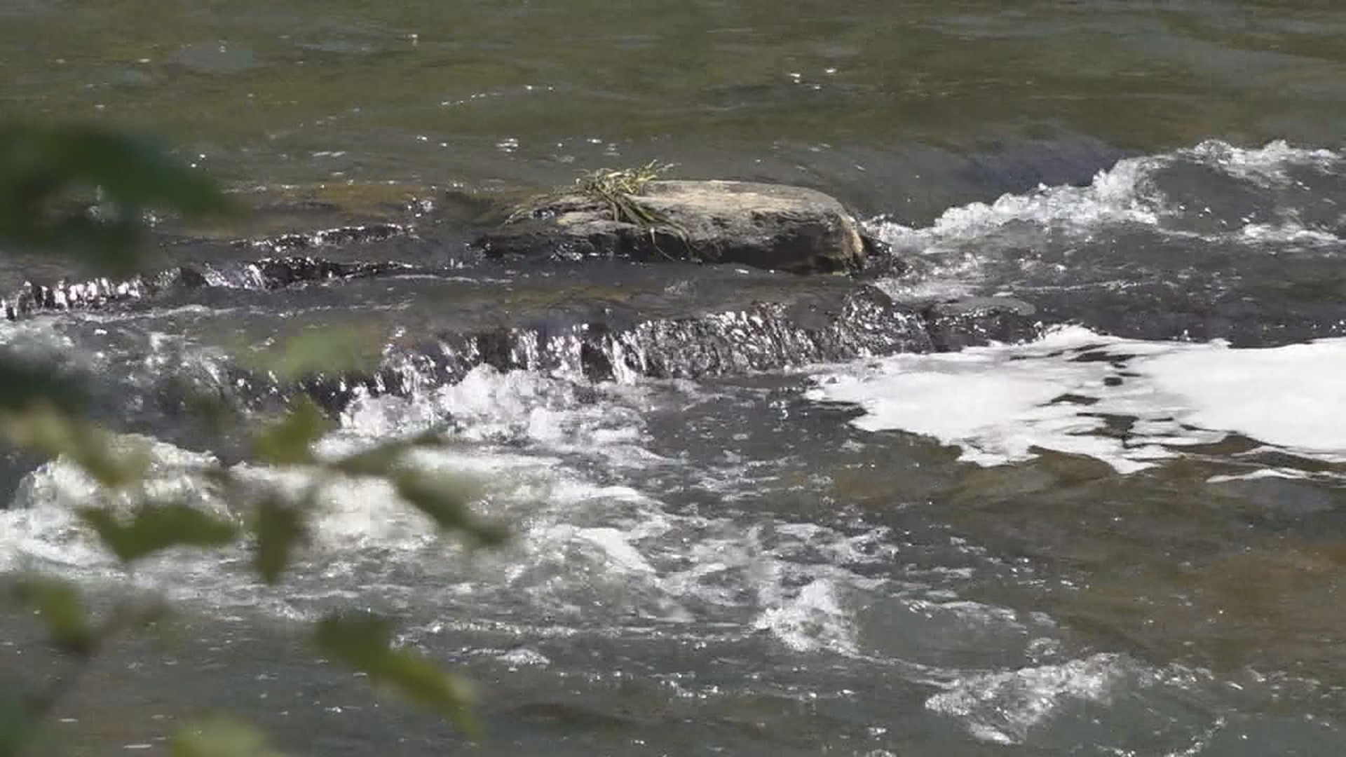 A recent study determined that 76% of Pennsylvania's rivers and streams were contaminated by PFAS, also known as 'forever chemicals.'