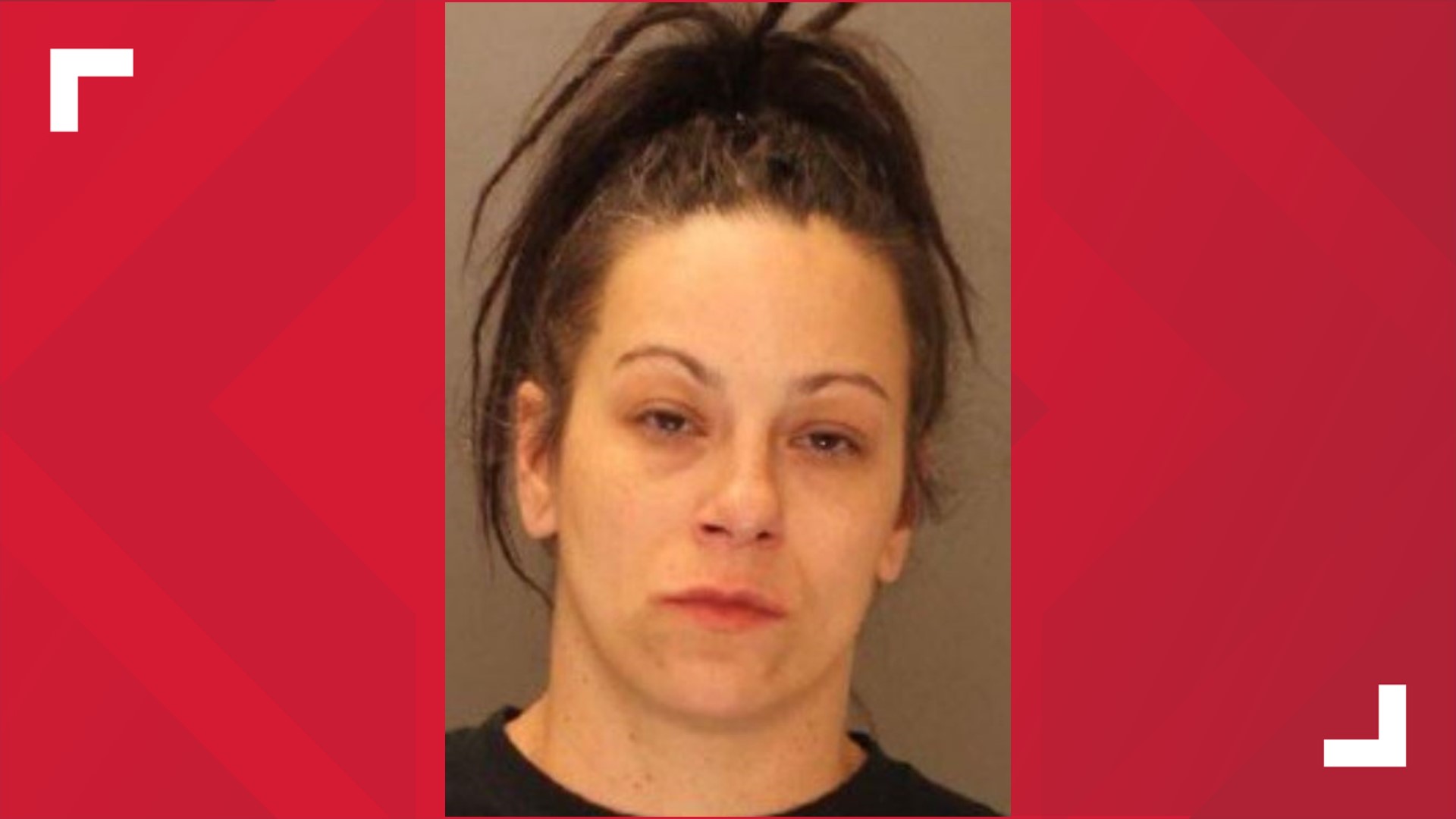 York County authorities charge 10 people after raid of home in Lower