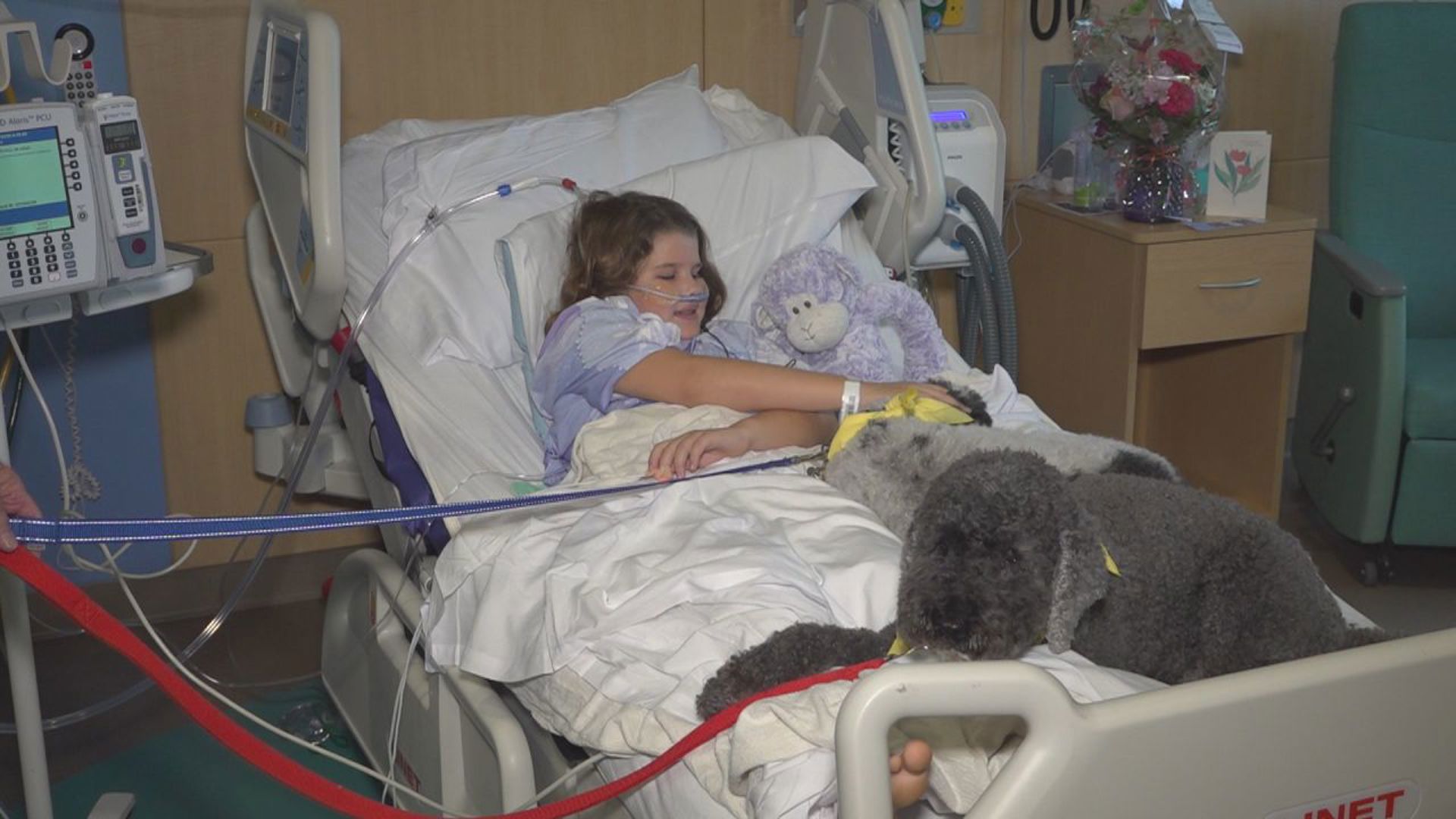 Therapy dogs at UPMC Children’s Hospital in Harrisburg are making a difference.